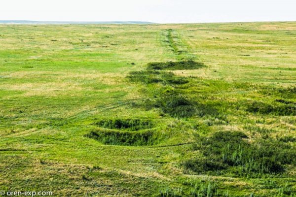 Кракен адрес тор