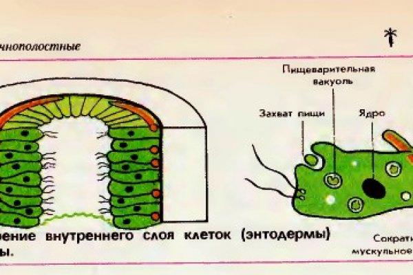 Kraken зеркала kr2web in