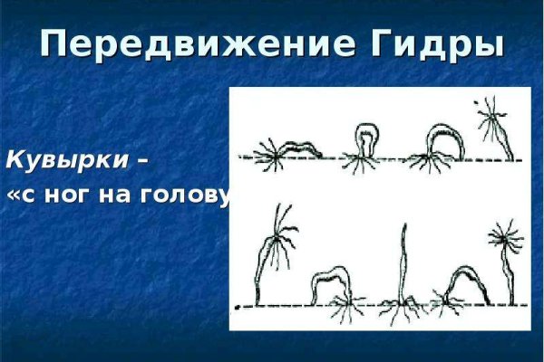 Кракен маркет только через тор